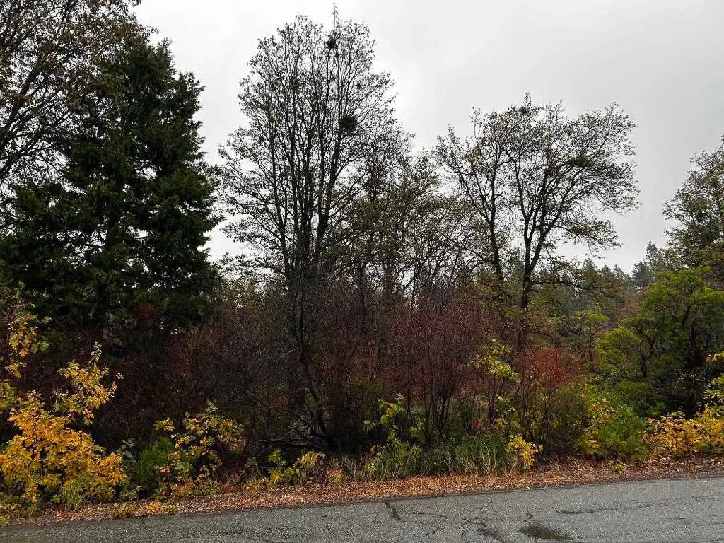 Lot 3 Eddy Drive, Mount Shasta, CA 96067 - #1
