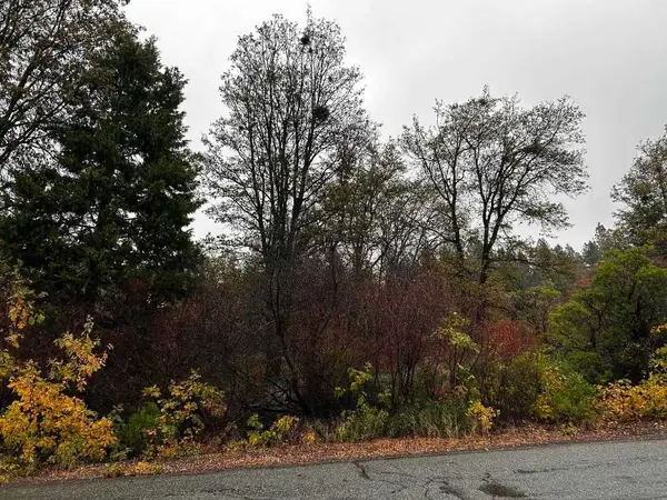 Lot 3 Eddy Drive, Mount Shasta, CA 96067