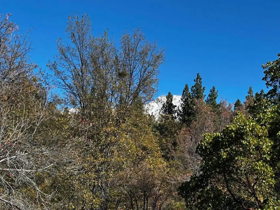 Lot 3 Eddy Drive, Mount Shasta, CA 96067 - #2