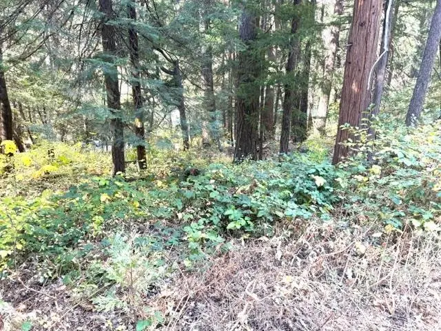 059-155-080 Hart Ave, Dunsmuir, CA 96025 - #1