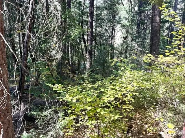 059-155-080 Hart Ave, Dunsmuir, CA 96025 - #3