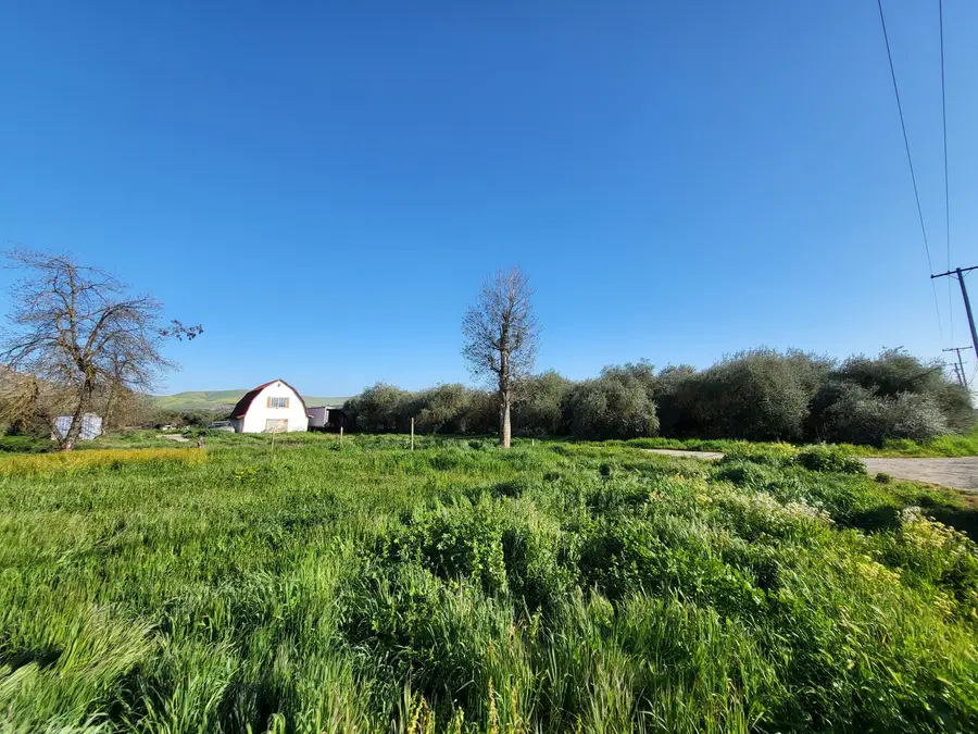 24796 Rd 216, Lindsay, CA 93247 - Image #3