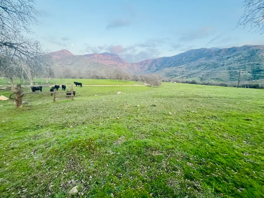 Cow Mountain Rd Road, Springville, CA 93265 - #2