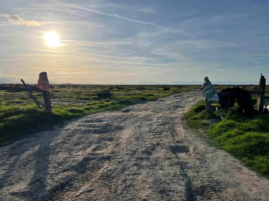 Lot 114 Track #1226, Wasco, CA 93280 - Image #2