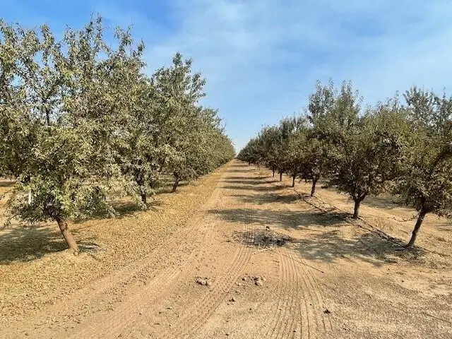 Avenue 144, Tipton, CA 93272 - Image #3