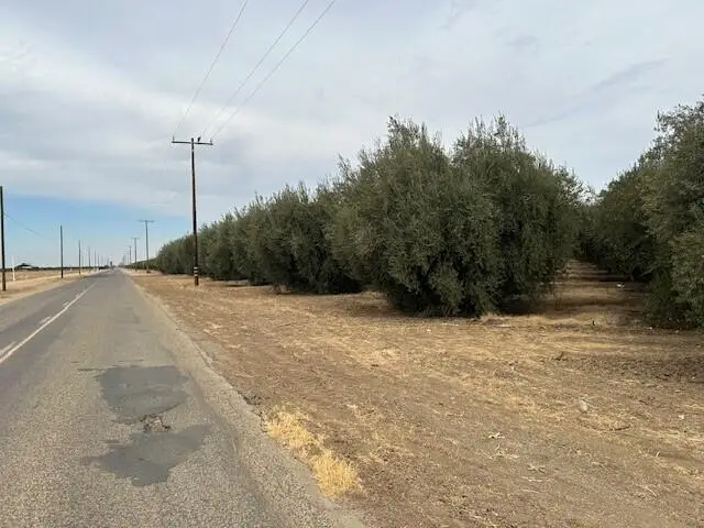 Road 224, Terra Bella, CA 93270 - Image #2