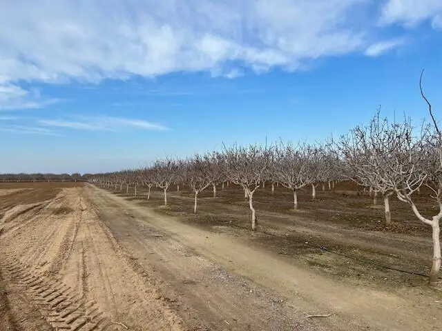 Cecil Avenue, Delano, CA 93215 - Image #2