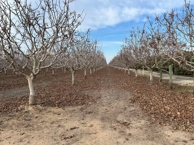 Cecil Avenue, Delano, CA 93215 - Image #3