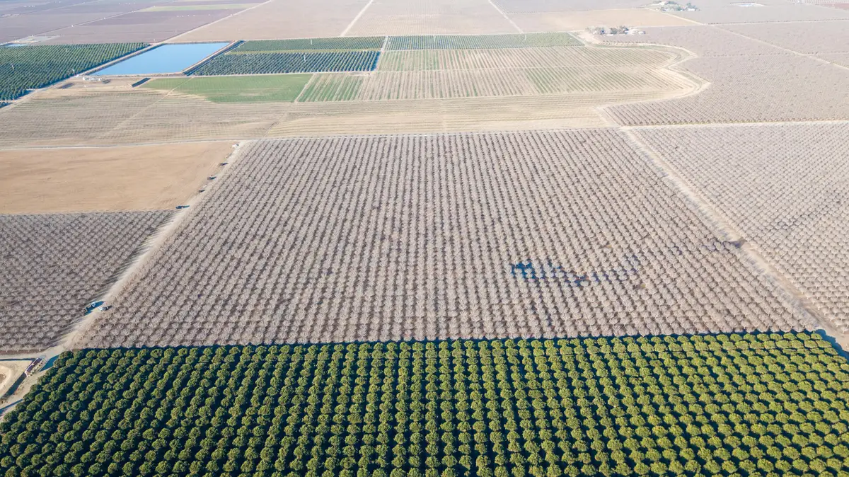 Bassett Avenue, Delano, CA 93215 - Image #1