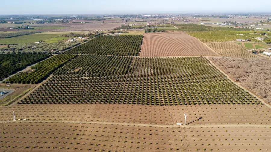 Rd 264, Terra Bella, CA 93270 - Image #2