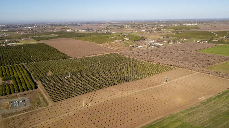 Rd 264, Terra Bella, CA 93270 - Image #3