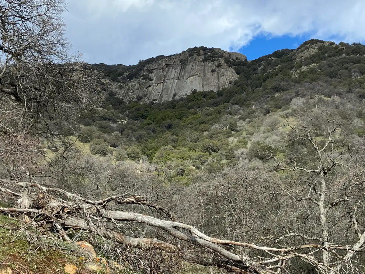 South Fork Drive, Three Rivers, CA 93271 - #1