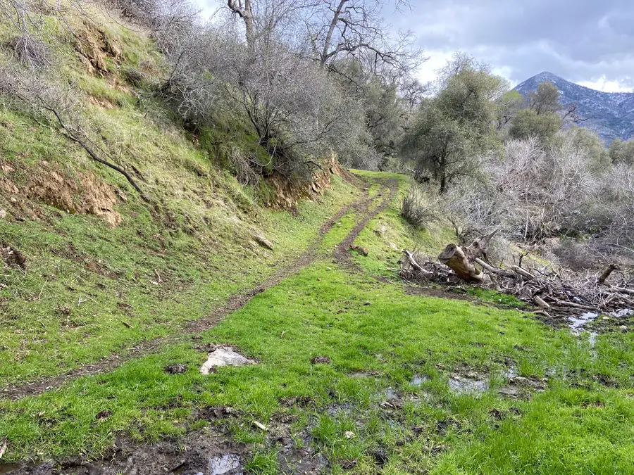 South Fork Drive, Three Rivers, CA 93271 - #2