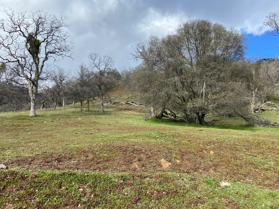 South Fork Drive, Three Rivers, CA 93271 - #3