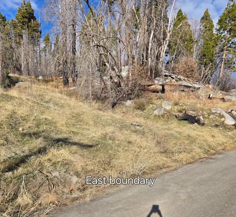 52866 Alpine Drive, Springville, CA 93265 - Image #3