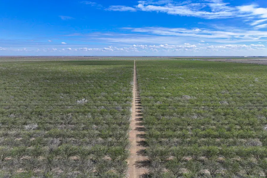 W Cerini Avenue, Cantua Creek, CA 93608 - Image #2