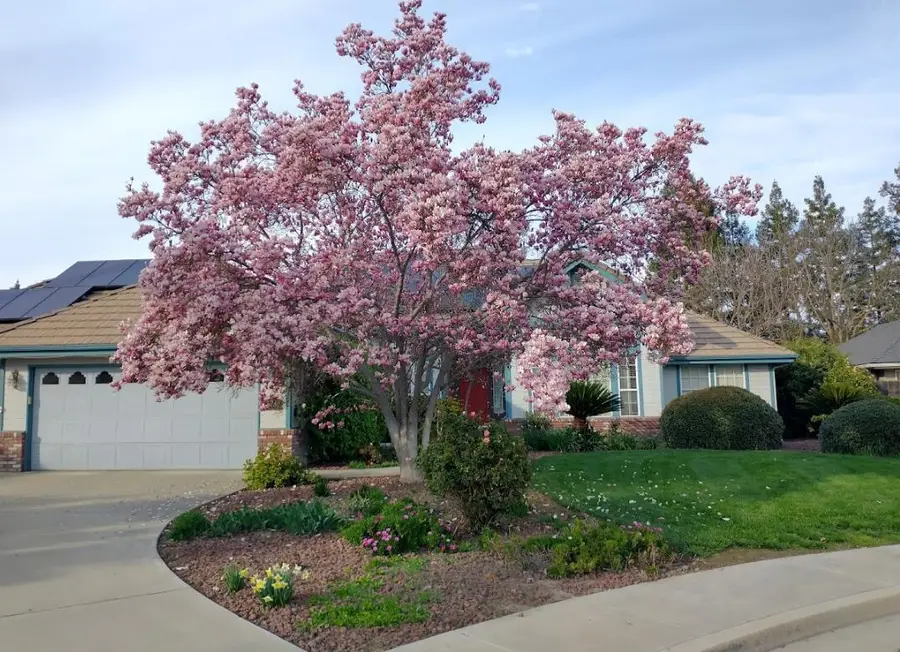 5730 W Laura Court, Visalia, CA 93277 - Image #3