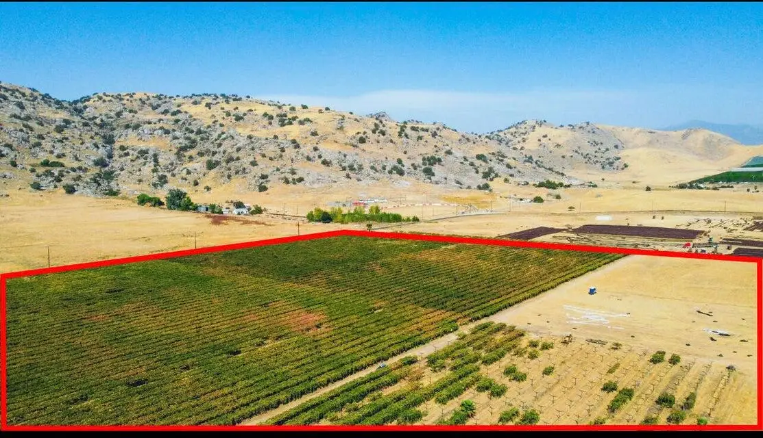 E Olive Ave Avenue, Porterville, CA 93257 - Image #1