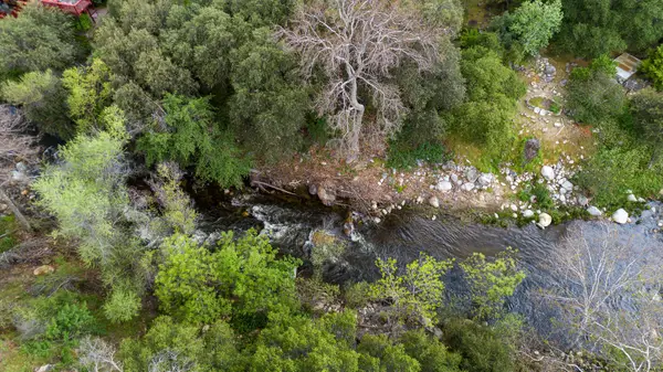 South Fork Drive, Three Rivers, CA 93271