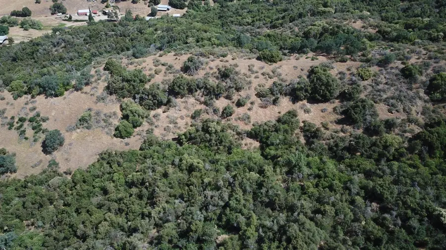8 Acres, Miramonte, CA 93641 - Image #2