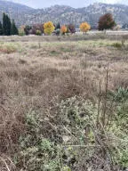 0 Globe Drive, Springville, CA 93265 - Image #3