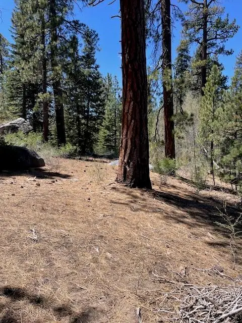 58303 Carter Drive, Ponderosa, CA 93265 - Image #2