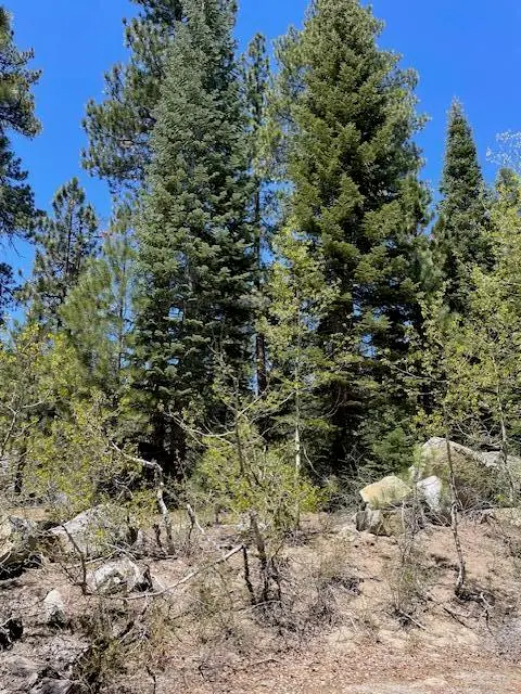 58303 Carter Drive, Ponderosa, CA 93265 - Image #3