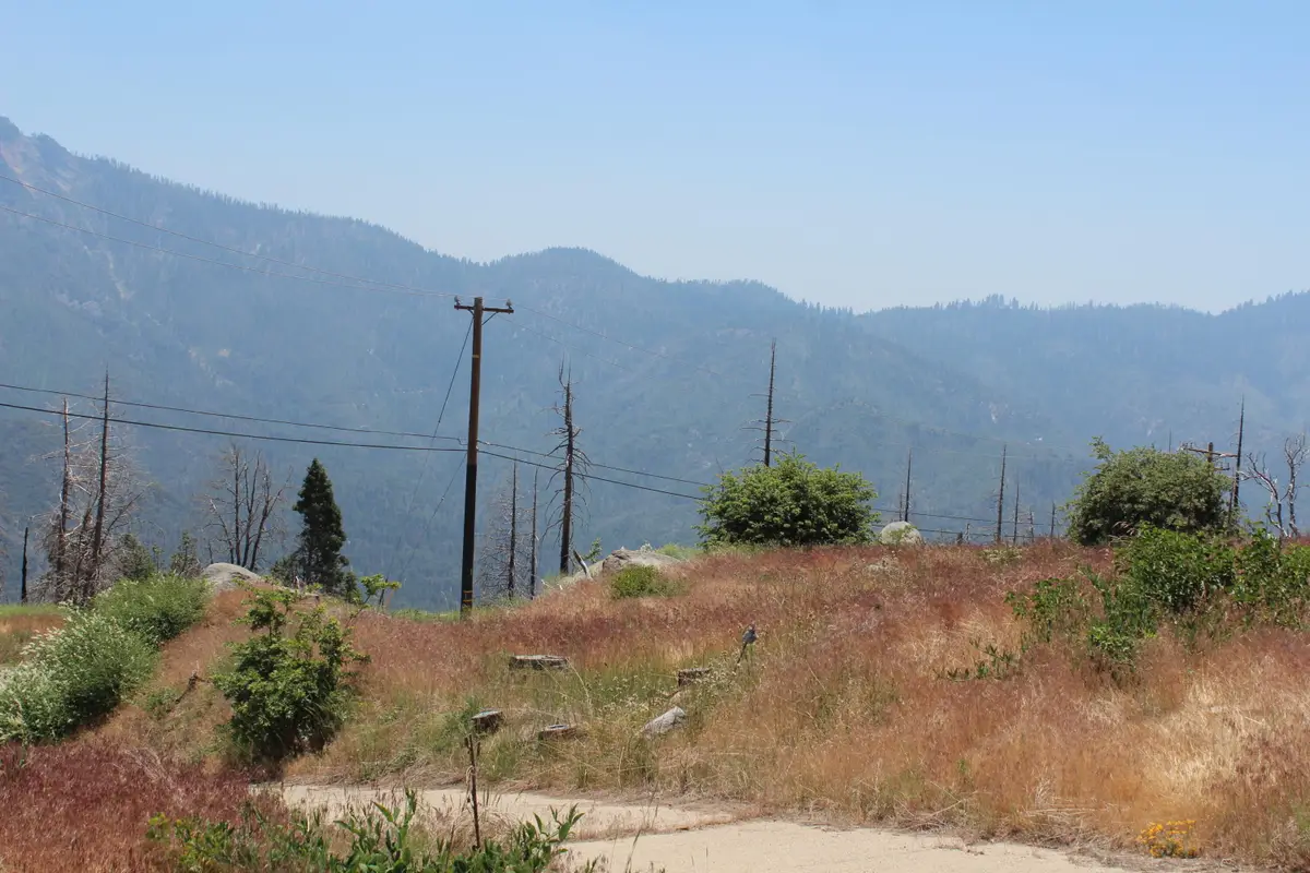 52954 Alpine Drive, Springville, CA 93265 - Image #1