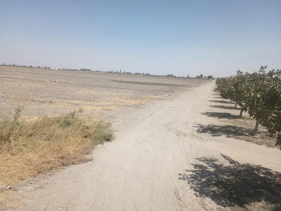 Ave 56 #2, Alpaugh, CA 93201 - Image #2