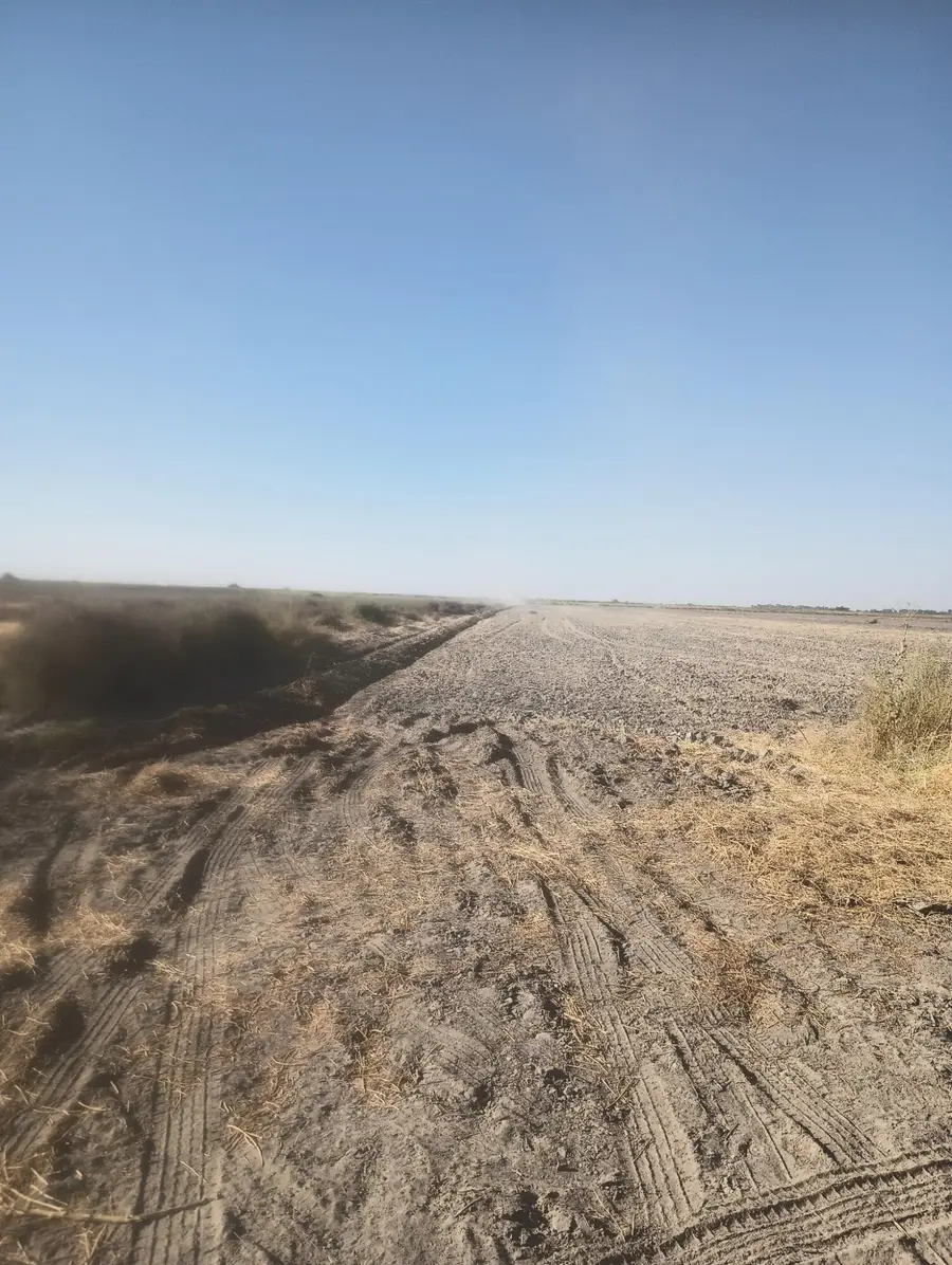 Ave 56 #2, Alpaugh, CA 93201 - Image #3