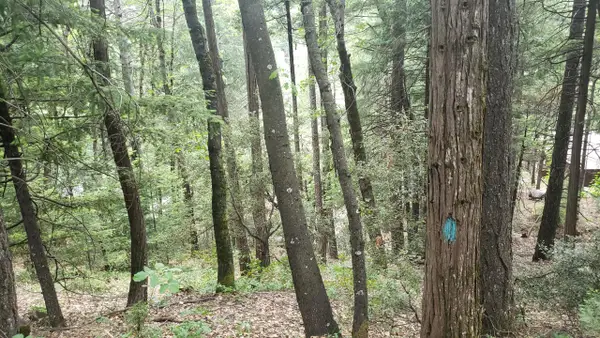 00 Upper River Ave Street, Dunsmuir, CA 96025