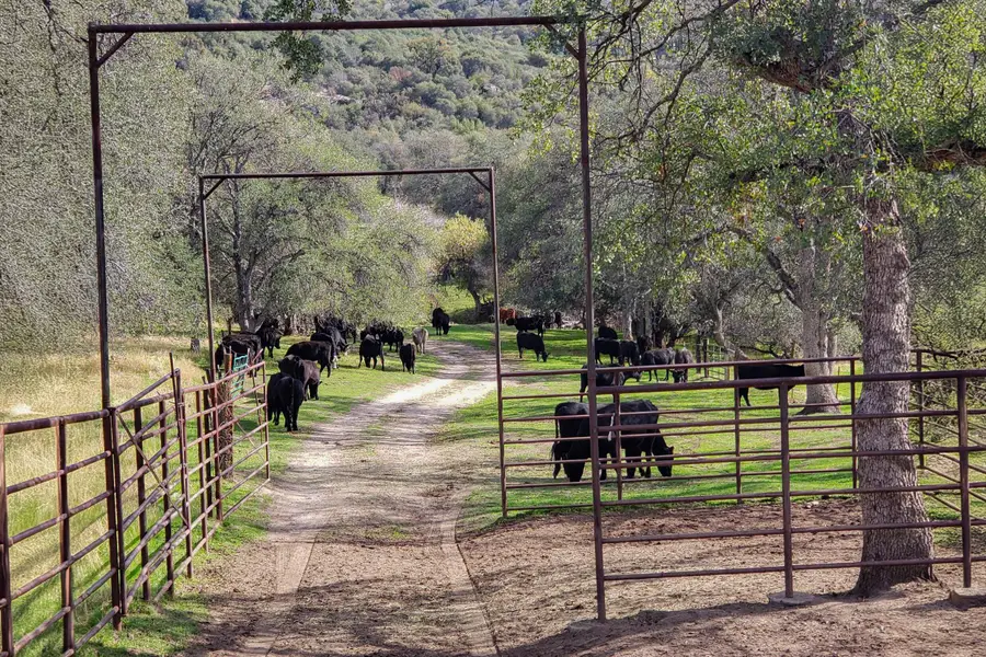 Drive Creek Drive, Badger, CA 93603 - Image #3