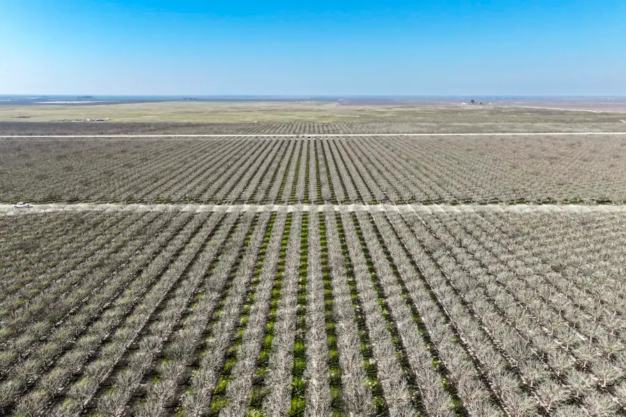 0 Ave 16, Delano, CA 93215 - Image #2