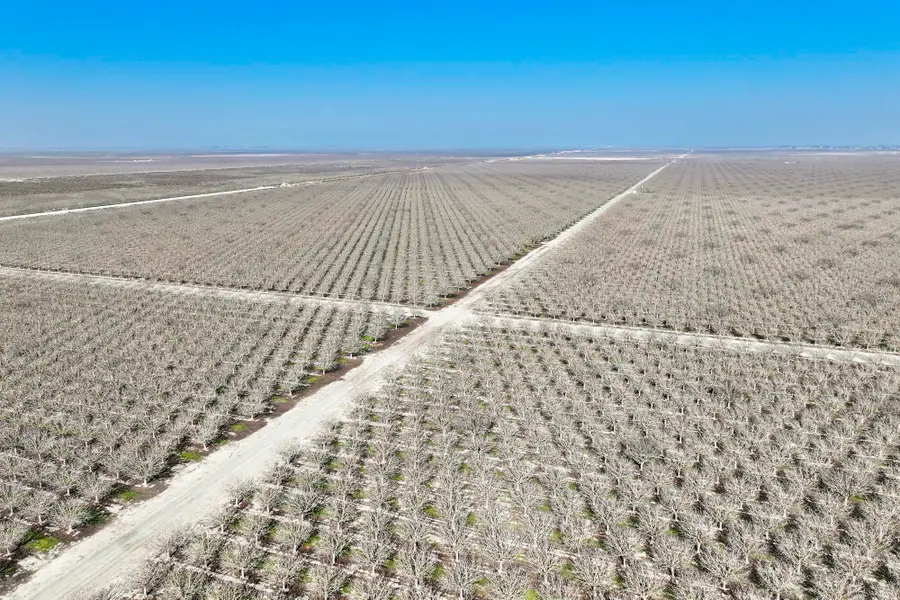 0 Ave 16, Delano, CA 93215 - Image #3