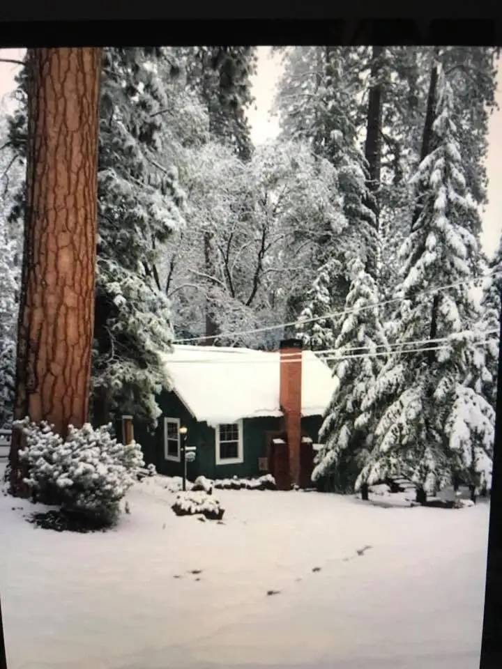 620 Loop Drive, Camp Nelson, CA 93265 - Image #2