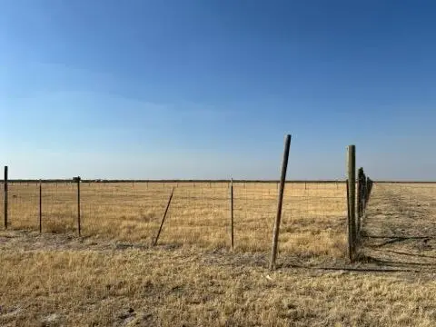 Olive Street, Alpaugh, CA 93201 - Image #2