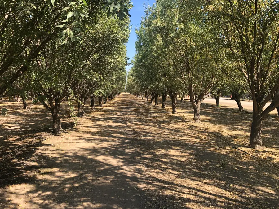 000 W Marinette Avenue, Exeter, CA 93221 - Image #2