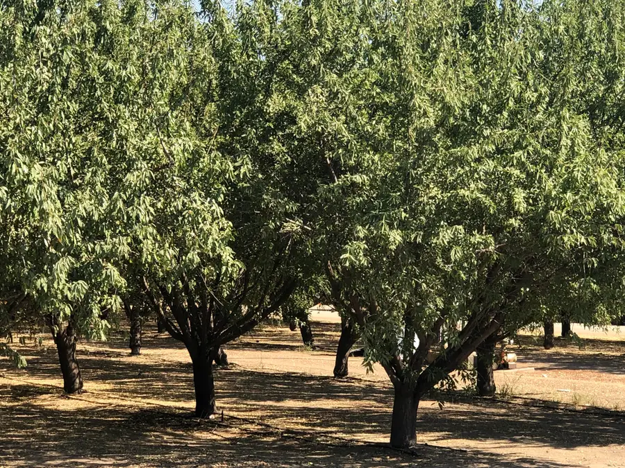 000 W Marinette Avenue, Exeter, CA 93221 - Image #3