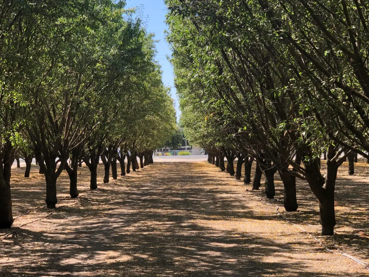 000 W Marinette Avenue, Exeter, CA 93221 - Image #1