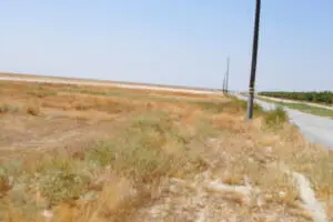 00 00 16 Avenue, Allensworth, CA 93219 - Image #2