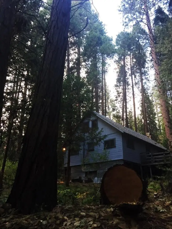 2115 Ferguson Drive, Camp Nelson, CA 93265 - Image #2