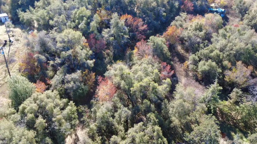 0 High Oaks, Yokuts Valley, CA 93675 - Image #3