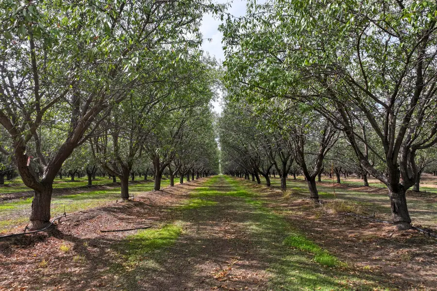 0 Kyte Road, Delano, CA 93215 - Image #2