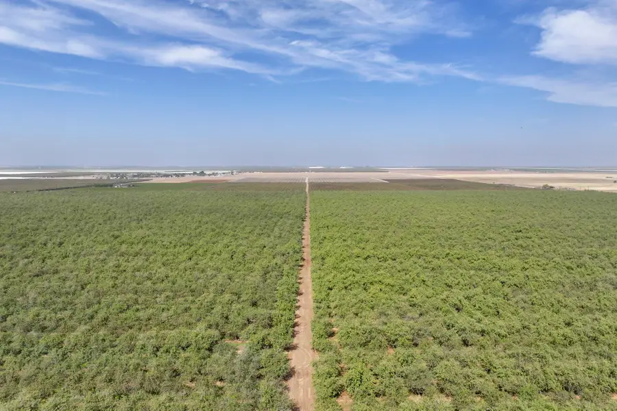 0 Kyte Road, Delano, CA 93215 - Image #3