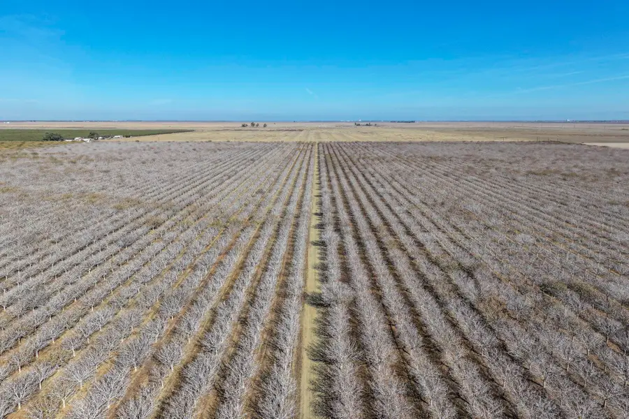 33571 W Adams Avenue, Mendota, CA 93640 - Image #3