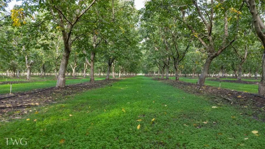 Ave 252, Tulare, CA 93274 - Image #2