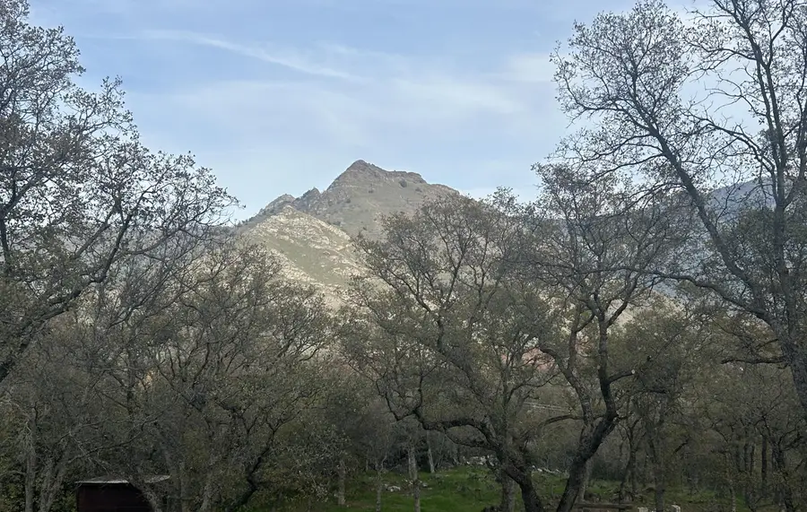 40838 Oak Ridge Drive, Three Rivers, CA 93271 - Image #3