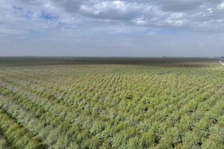 0 Ave. 80, Pixley, CA 93256 - Image #2