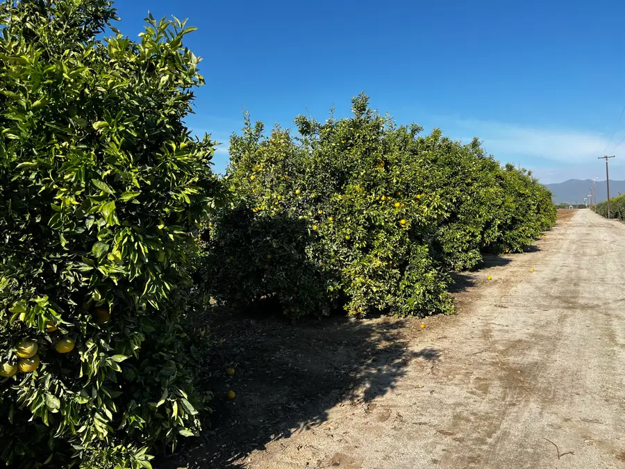 W Cajon Avenue, Visalia, CA 93292 - #3