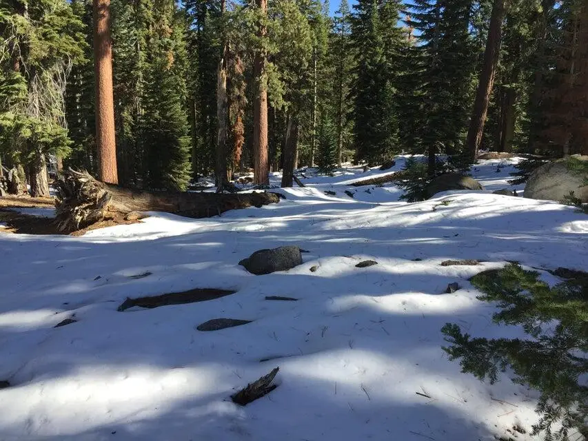 57955 Summit Drive, Ponderosa, CA 93265 - Image #2